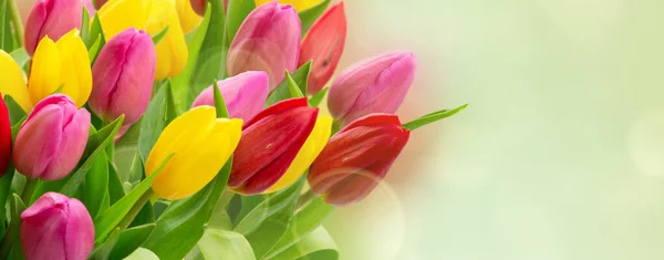 Bouquet di fiori di tulipani freschi — Foto Stock