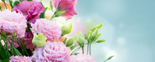 Tuoreet ruusun kukat — kuvapankkivalokuva