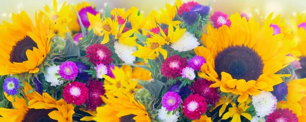 Girasoles sobre blanco —  Fotos de Stock