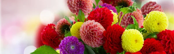 Dahlia květiny kytice — Stock fotografie