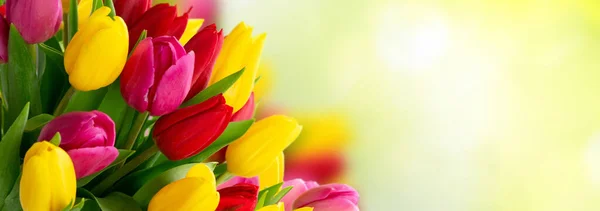 新鮮なチューリップの花束 — ストック写真