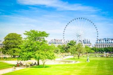 Tuileries Bahçesi, Paris