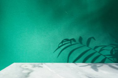 Gri granit taşın asgari modern ürünü palmiye yaprakları ve gölgeli yeşil zemin üzerinde sergilenir