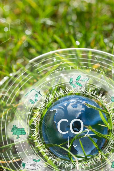 Стеклянная Планета Земля Траве Углеродно Нейтральная Концепция Бизнеса Климат Положительный — стоковое фото