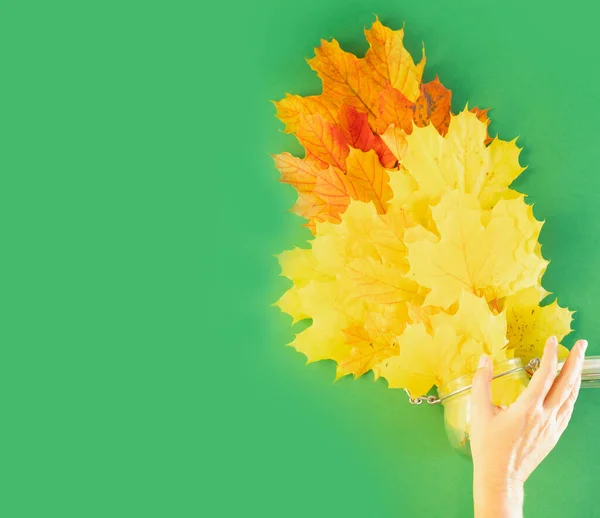 Hand throwing fall leaves over green background with copy space