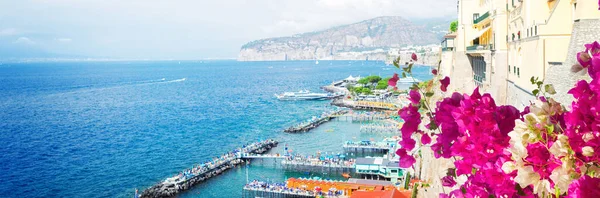 Embankment Beach Sorrento Flowers Southern Italy Web Banner Format — Stock Photo, Image