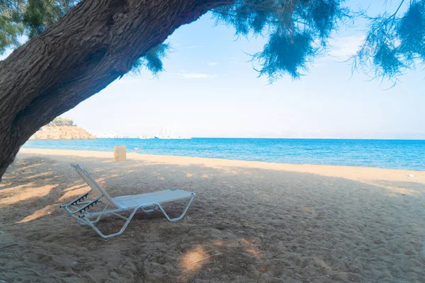 希腊帕洛斯岛的浪漫海滩上有松树 — 图库照片