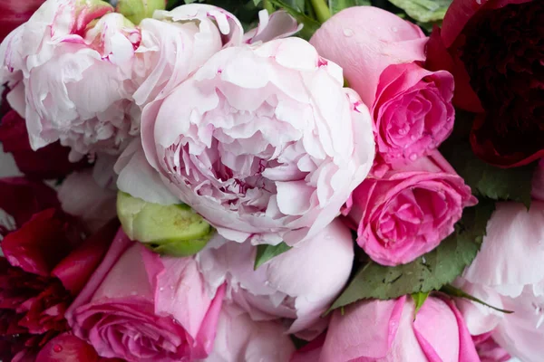Frische Pfingstrosen Und Rosenblüten Nahsicht Sommerlicher Hintergrund — Stockfoto