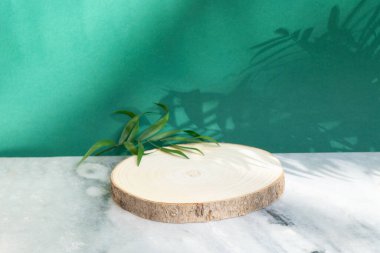 Asgari modern ürün, yeşil arka planda palmiye yaprakları, doğal ahşap ve granit taş ve gölge örtülü podyum sergiliyor.