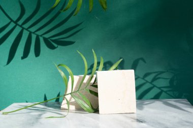 Travertin taşının asgari modern ürünü palmiye yaprakları ve gölge örtülü yeşil zemin üzerinde sergilenir