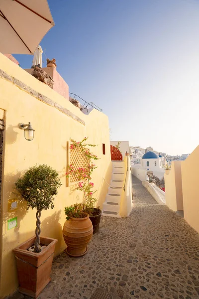 Teplá Žlutá Ulice Oia Tradiční Řecká Vesnice Santorini Řecko — Stock fotografie