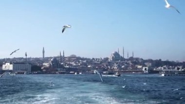 Gemiyi izleyen martılar, İstanbul ve Boğaz 'ın, su yolu Türkiye' nin görüntülerini oluşturuyorlar