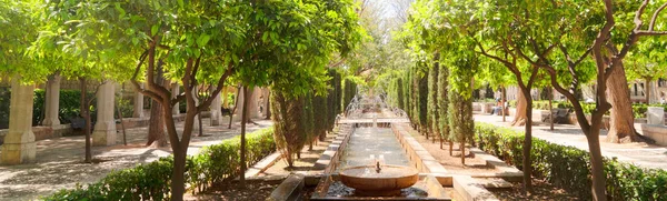 西班牙马约卡首府帕尔马德马约卡老城的花园 巴利阿里群岛 网页横幅 — 图库照片