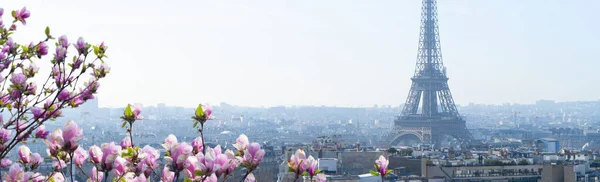 Famous Eiffel Tower Paris Roofs Spring Tree Flowers Paris France — ストック写真