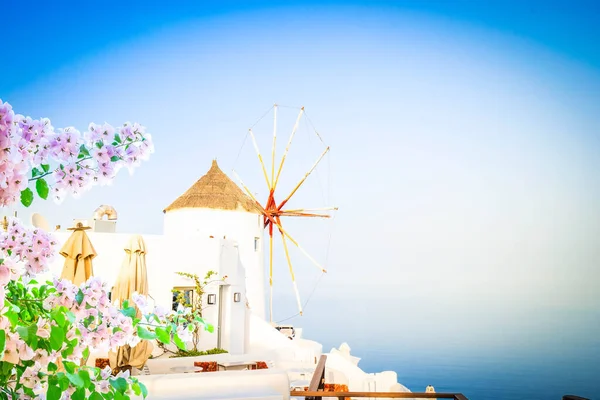 Oia Molino Viento Tradicional Pueblo Griego Blanco Santorini Con Flores — Foto de Stock