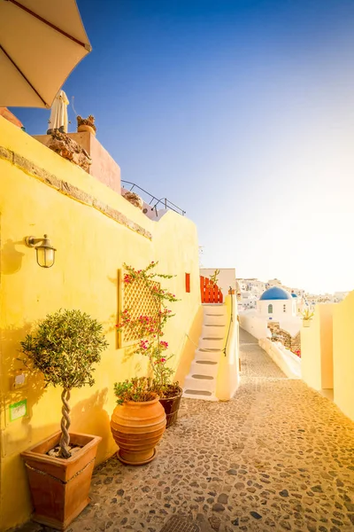 Warm Yellow Street Oia Traditional Greek Village Santorini Greece Sunshine — ストック写真