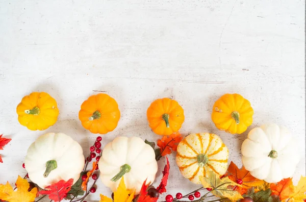 Rand Aus Weißen Und Orangefarbenen Kürbissen Mit Herbstblättern Auf Weißem — Stockfoto