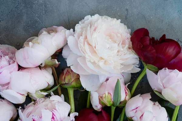 Koyu Gri Masadaki Taze Şakayık Çiçekleri Görüşü Kaybet — Stok fotoğraf