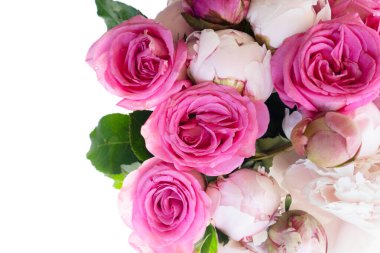 Beyaz arka planda taze şakayıklar ve gül çiçekleri