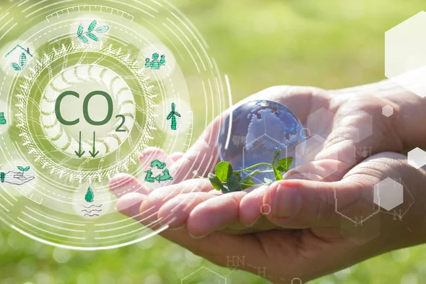 Co2 Neutrales Unternehmenskonzept Klimafreundliche Und Co2 Freie Nettoemissionen Stockbild
