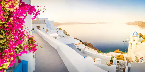 Street Traditional Greek Village Oia Santorini Blue Domes Sunshine Flowers — Stockfoto