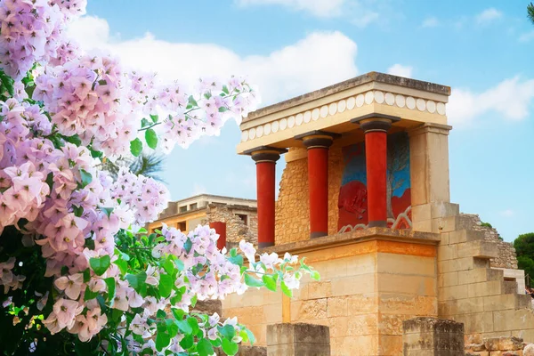 Pohled Starobylé Zříceniny Paláce Knossos Krétě Letními Květinami Řecko — Stock fotografie