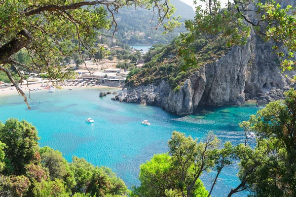 Paleokastritsa Beach Bay Korfu Pines Greece — Stock Photo, Image