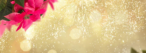 Frame Pink Poinsettia Flower Christmas Star Golden Bokeh Background Web — ストック写真