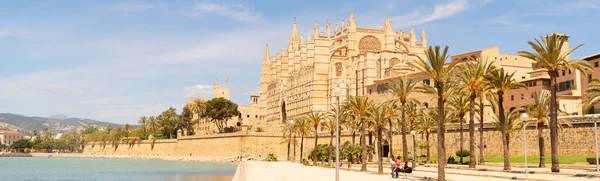 Vieux Cathdral Remblai Palma Majorque Capitale Majorque Espagne Îles Baléares — Photo