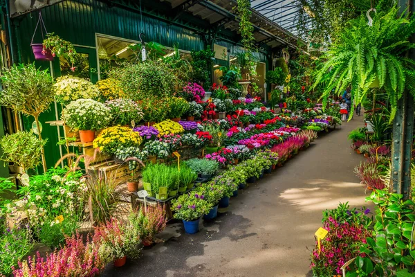 Paris flower market with fresh plants and flowers pots