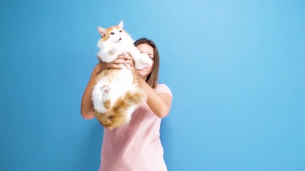 Kobieta Gospodarstwa Całowanie Duży Flaffy Biały Czerwony Kot — Wideo stockowe