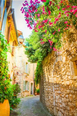 narrow medieval small town street of Provence at summer day, France