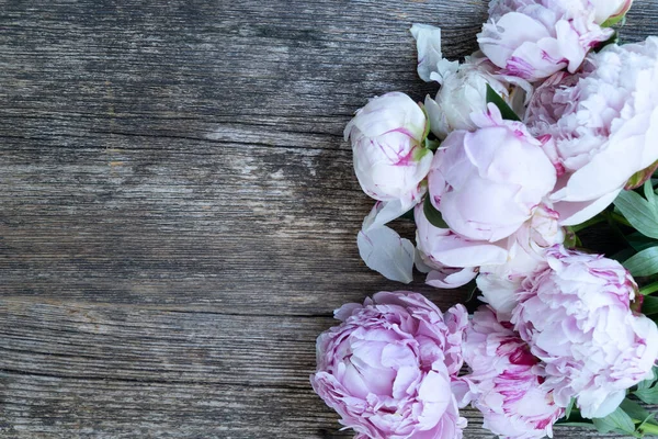 Φρέσκα Λουλούδια Παιώνιες Πάνω Από Παλιά Φόντο Ξύλο Καλοκαίρι Floral — Φωτογραφία Αρχείου