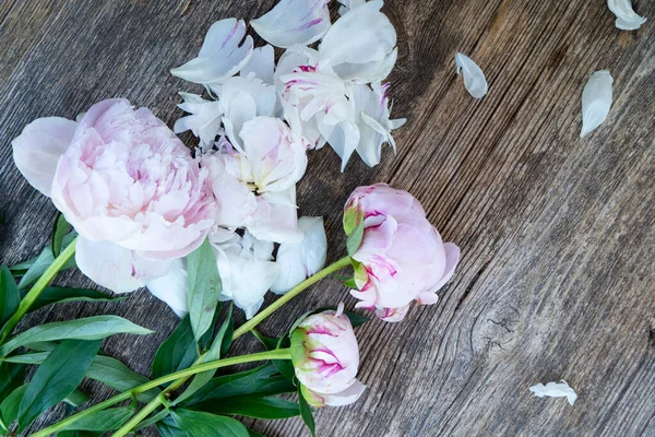 Fresh peonies flowers over old wood background, close up view, summer background