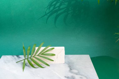 Minimal modern product display of travertine marble stone on reach green background with palm leaves and shadow overlay