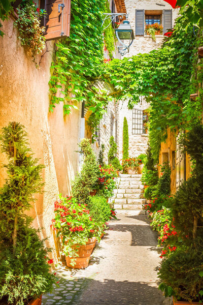 Narrow old town street of Provence at sunny summer day, France
