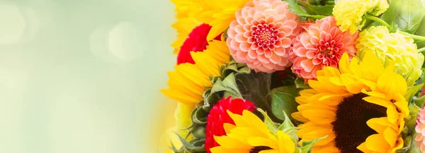 Ντάλια Και Ηλιοτρόπια Λουλούδια Αντίγραφο Χώρο Στον Κήπο Φόντο — Φωτογραφία Αρχείου