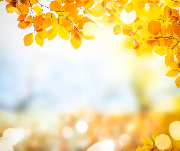 Hojas Amarillas Que Caen Jardín Otoño Fondo Bokeh Cielo Azul — Foto de Stock