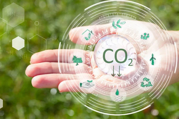 hands holding and protecting planet Earth, carbon neutral bussiness concept, climate positive and net zero carbon emissions