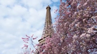 Eyfel Kulesi, pembe sakura bahar çiçekleri, Paris, Fransa