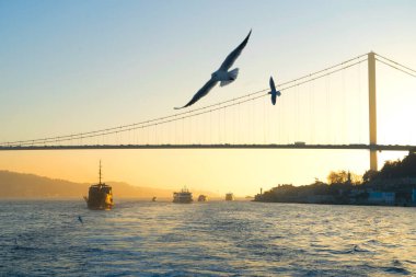 Skyline of Istanbul and Bosporus waterway at sunset, Turkey. Istanbul most iconic lamdmarks.