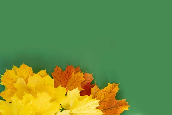 fall leaves border over green background with copy space