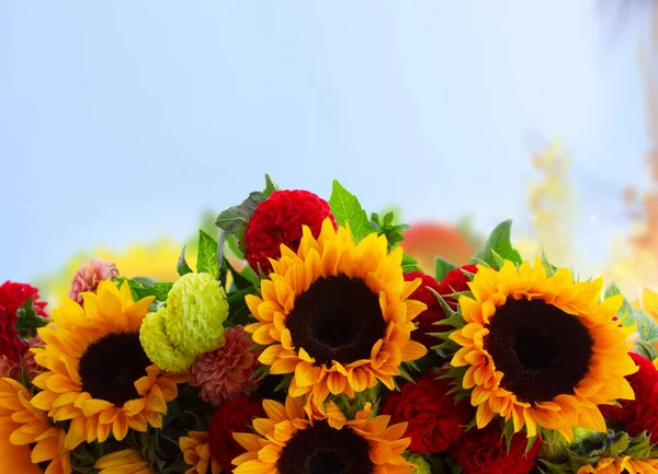 Border Dahlia Sunflowers Flowers Close Blue Sky Background — Fotografia de Stock