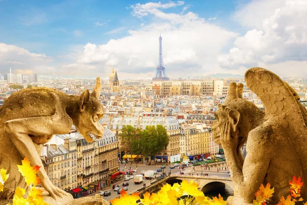 Gargoyle Notre Dame Cathedral City Paris Fall France — Stock Photo, Image