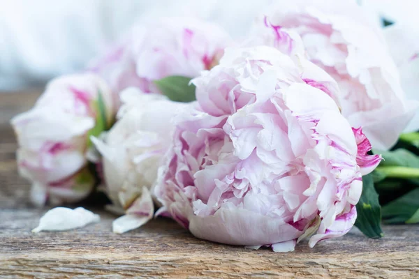 Fresh peonies flowers over old wood background, close up, summer floral background