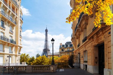 famous Eiffel Tower landmark and Paris fall street, Paris at autumn, France