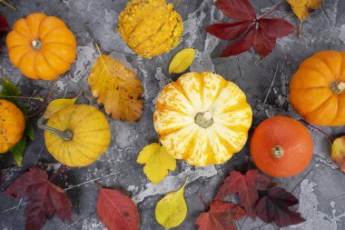Düşen yapraklı beyaz ve turuncu balkabakları beyaz ahşap arka planda kopya alanı ile