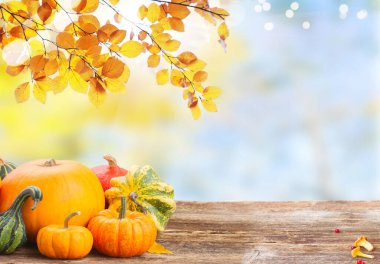 Arkaplanda yaprakları olan turuncu balkabağı yığını, masada boşluk kopyala