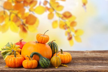 Arka planda yaprakları dökülen portakal kabakları yığını