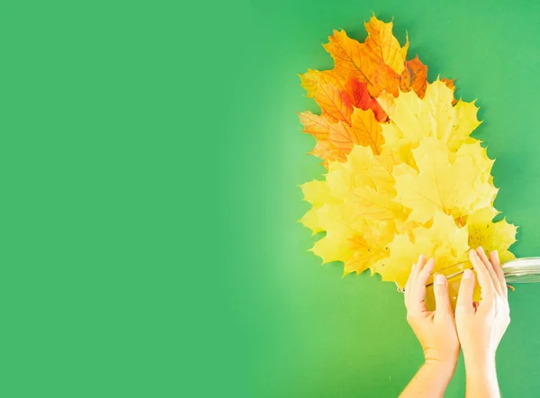 Someone hands throwing colorfu fall leaves over green background with copy space